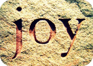 joy-on-stone