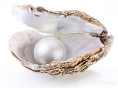 img-pearl-oyster