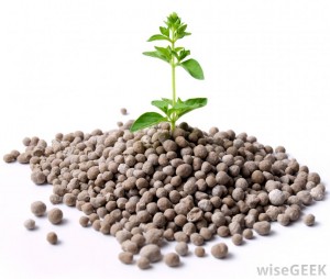 fertilizer