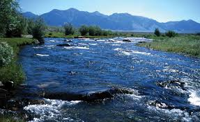 stream