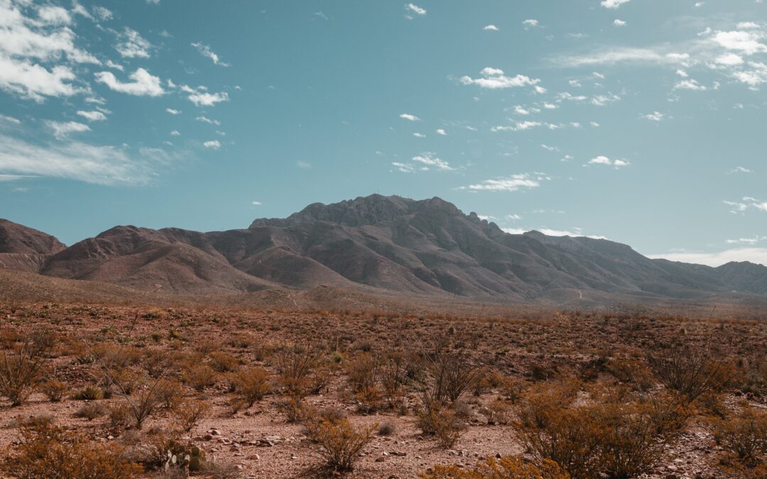 Life in the Wilderness