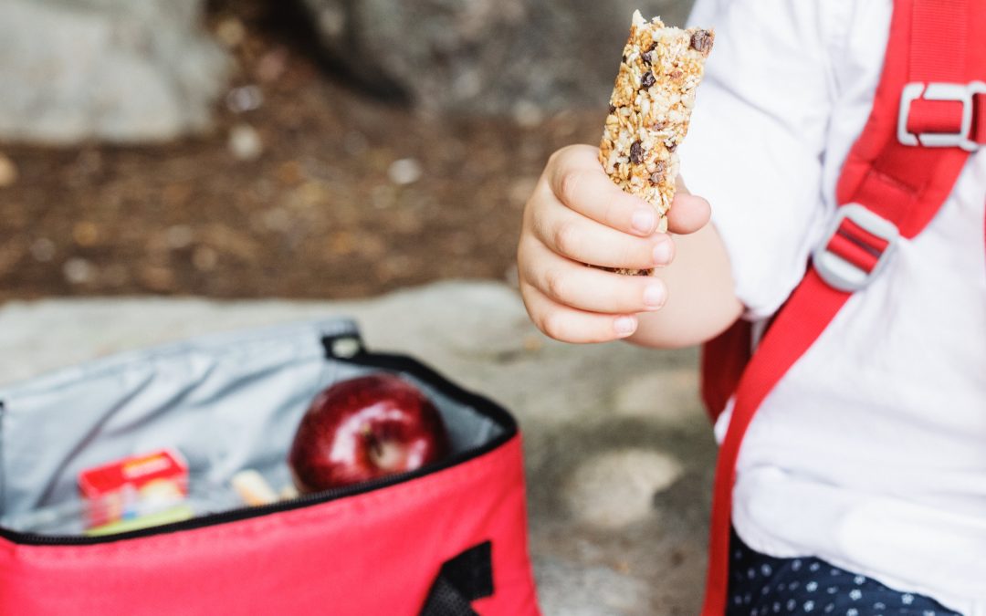 What is in your Lunch Box?