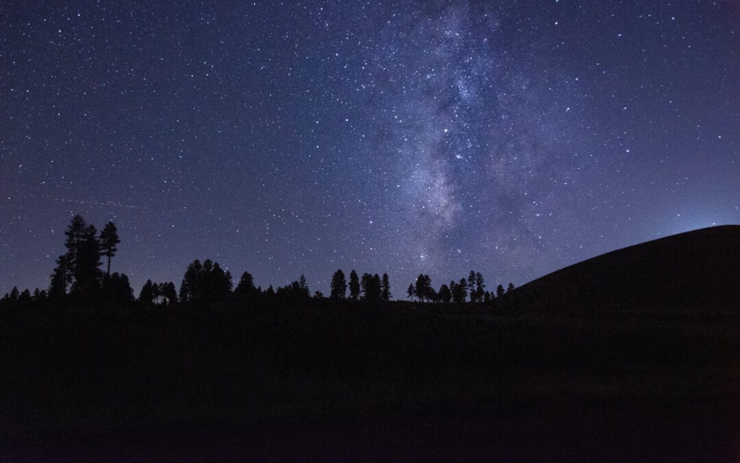 The Stars